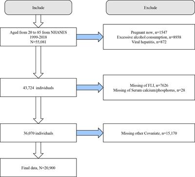 Independent associations of serum calcium with or without albumin adjustment and serum phosphorus with nonalcoholic fatty liver disease: results from NHANES 1999-2018